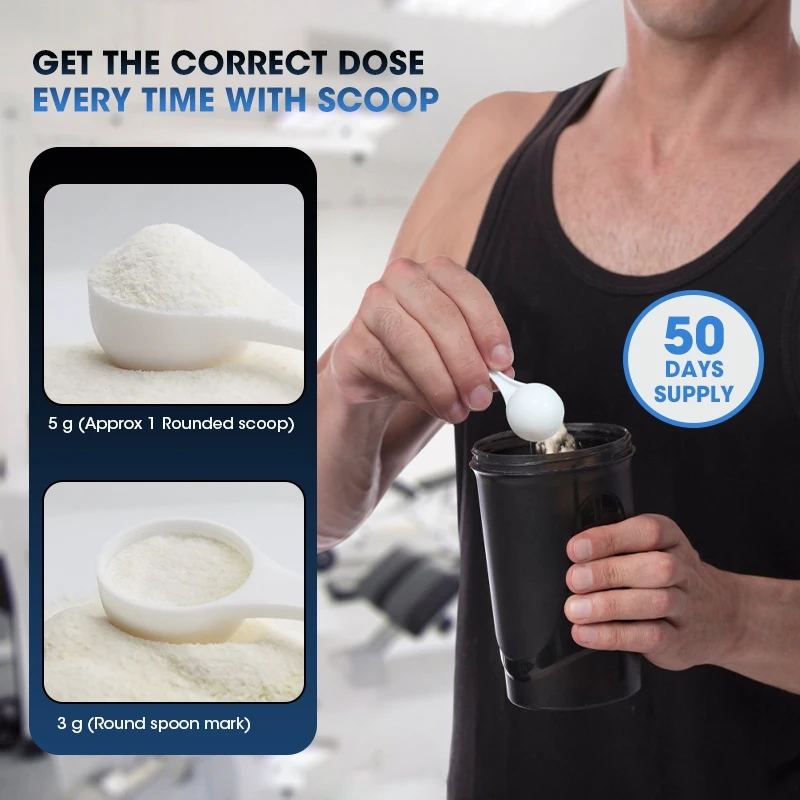 Kexinsh-polvo de monohidrato d - Creatine Monohydrate Powder reseña y precio